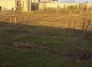 Satılır 12 sot torpaq Sumqayıt