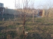 Satılır 6 sot torpaq Sumqayıt