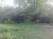 Satılır 6 sot torpaq Qusar