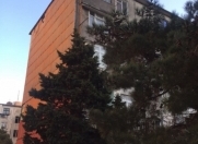 Satılır 2 otaqlı 50 m2 köhnə tikili Zərifə Əliyeva adına park