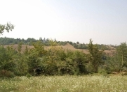 Satılır 24 sot torpaq Qusar