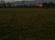 Satılır 76 sot torpaq Zaqatala