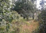 Satılır 3.6 sot torpaq Şamaxı