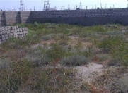 Satılır 14 sot torpaq Buzovna