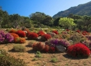 Satılır 115 otaqlı 115 m2 obyekt Gənclik m.