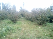 Satılır 38 sot torpaq Xaçmaz