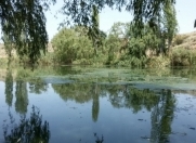 Satılır 500 sot torpaq Tovuz