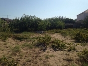 Satılır 6 sot torpaq Novxanı