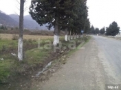 Satılır 30 sot torpaq Astara