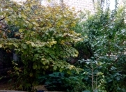 Satılır 7 otaqlı 3.5 m2 həyət evi Binəqədi