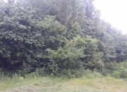 Satılır 15 sot torpaq Qusar