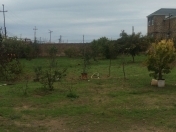 Satılır 11 sot torpaq Yaşıl bazar