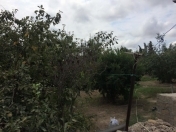 Satılır 11 sot torpaq Ramana