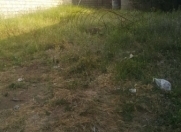 Satılır 3 sot torpaq Çiçək