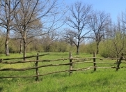 Satılır 20 sot torpaq Qəbələ