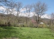 Satılır 20 sot torpaq Qəbələ