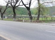 Satılır 48 sot torpaq Qəbələ