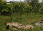 Satılır 6 sot torpaq Sulutəpə