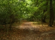 Satılır 560 sot torpaq Xaçmaz