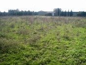 Satılır 30 sot torpaq Şüvəlan Park ticarət mərkəzi