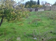 Satılır 12 sot torpaq Sumqayıt