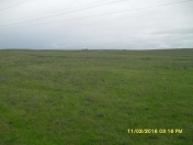 Satılır 100 sot torpaq Qaradağ r.