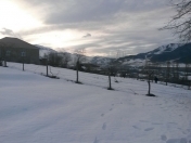 Satılır 32 sot torpaq Qusar