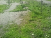 Satılır 2 sot torpaq Suraxanı r.