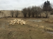 Satılır 4 sot torpaq Novxanı