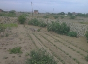 Satılır 7 sot torpaq Albalı