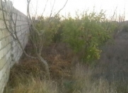 Satılır 4 sot torpaq Binə