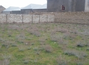 Satılır 3 sot torpaq Hövsan