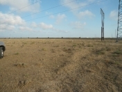 Satılır 1500 sot torpaq Xəzər r.