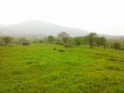 Satılır 46 sot torpaq İsmayıllı