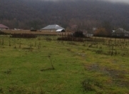 Satılır 44 sot torpaq Qəbələ