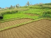 Satılır 2.5 sot torpaq Hövsan