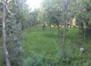 Satılır 5 sot torpaq Şıxov