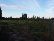 Satılır 24 sot torpaq Qusar