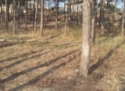 Satılır 18 sot torpaq Şamaxı