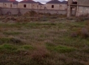 Satılır 70 sot torpaq Badamdar