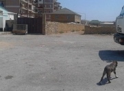 Satılır 2 sot torpaq Mehdiabad