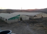 Satılır 2000 sot torpaq Şamaxı