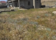 Satılır 6 sot torpaq Sabunçu r.