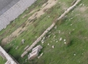 Satılır 3.5 sot torpaq Binə