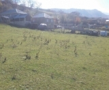 Satılır 12 sot torpaq Quba