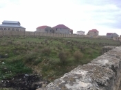 Satılır 50 sot torpaq Saray