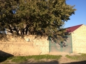 Satılır 5 sot torpaq Digah