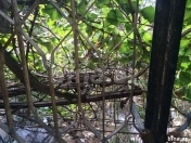 Satılır 2 otaqlı 61 m2 köhnə tikili 9 mkr