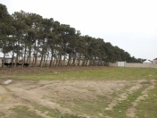 Satılır 10 sot torpaq Ramana