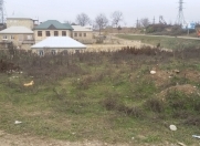 Satılır 5 sot torpaq Quba